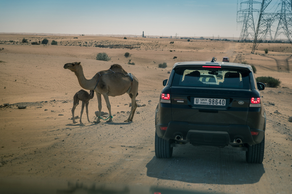 Land Rover Experience 2018