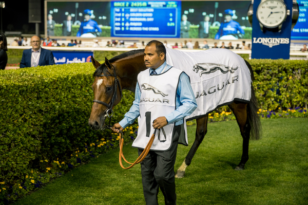 Dubai World Cup 2018