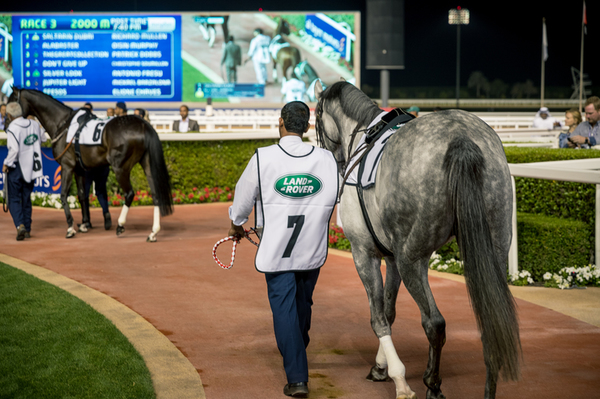 Dubai World Cup 2018
