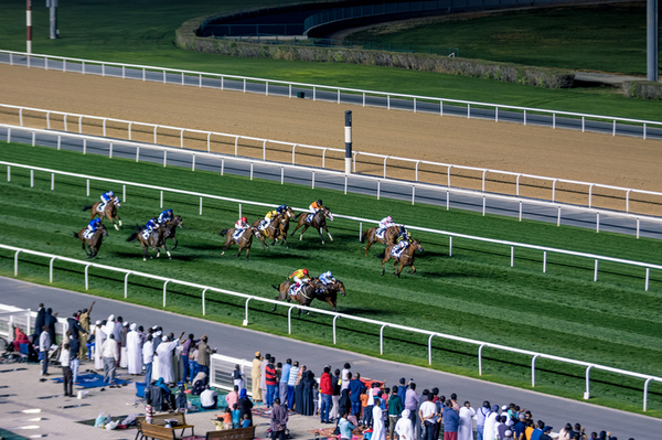 Dubai World Cup 2018