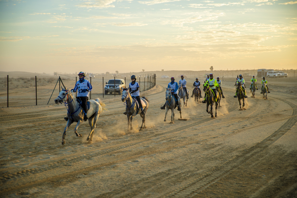 Gamilati Endurance Cup 2018
