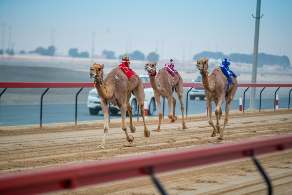 Al Marmoom Heritage Festival 2018