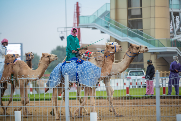 Al Marmoom Heritage Festival 2018