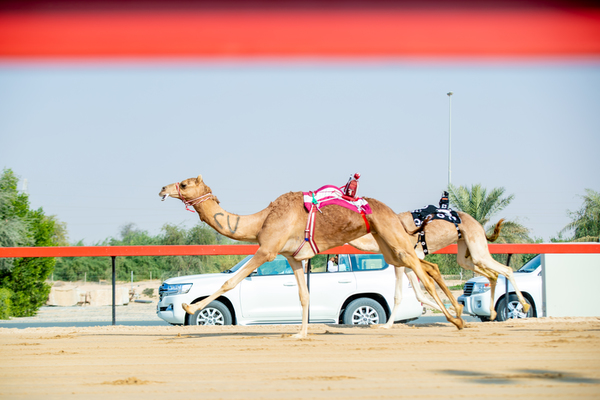 Al Marmoom Heritage Festival 2018