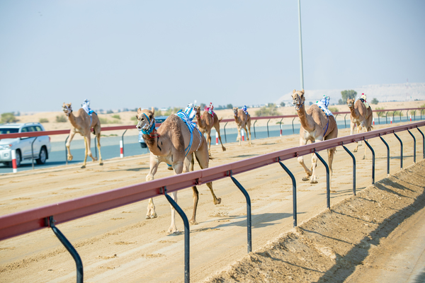 Al Marmoom Heritage Festival 2018