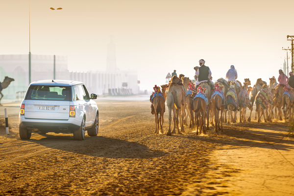 Al Marmoom Heritage Festival 2018