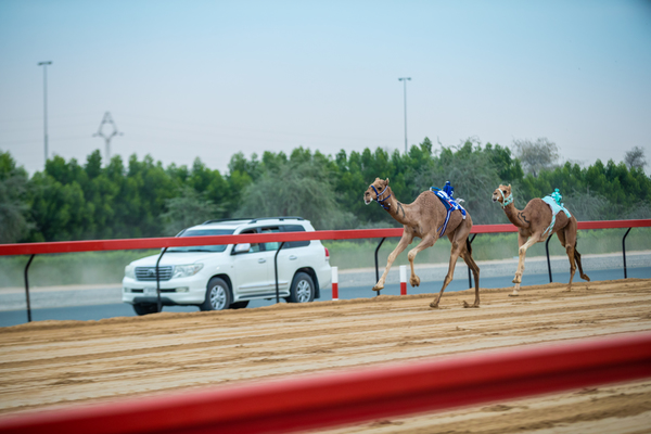 Al Marmoom Heritage Festival 2018