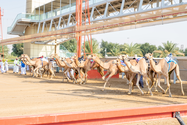 Al Marmoom Heritage Festival 2018