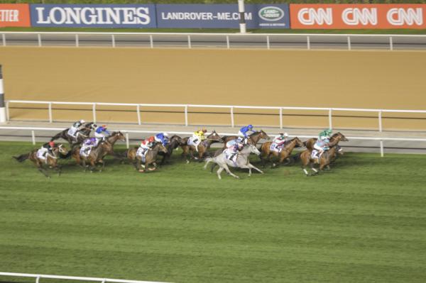Dubai World Cup 2019