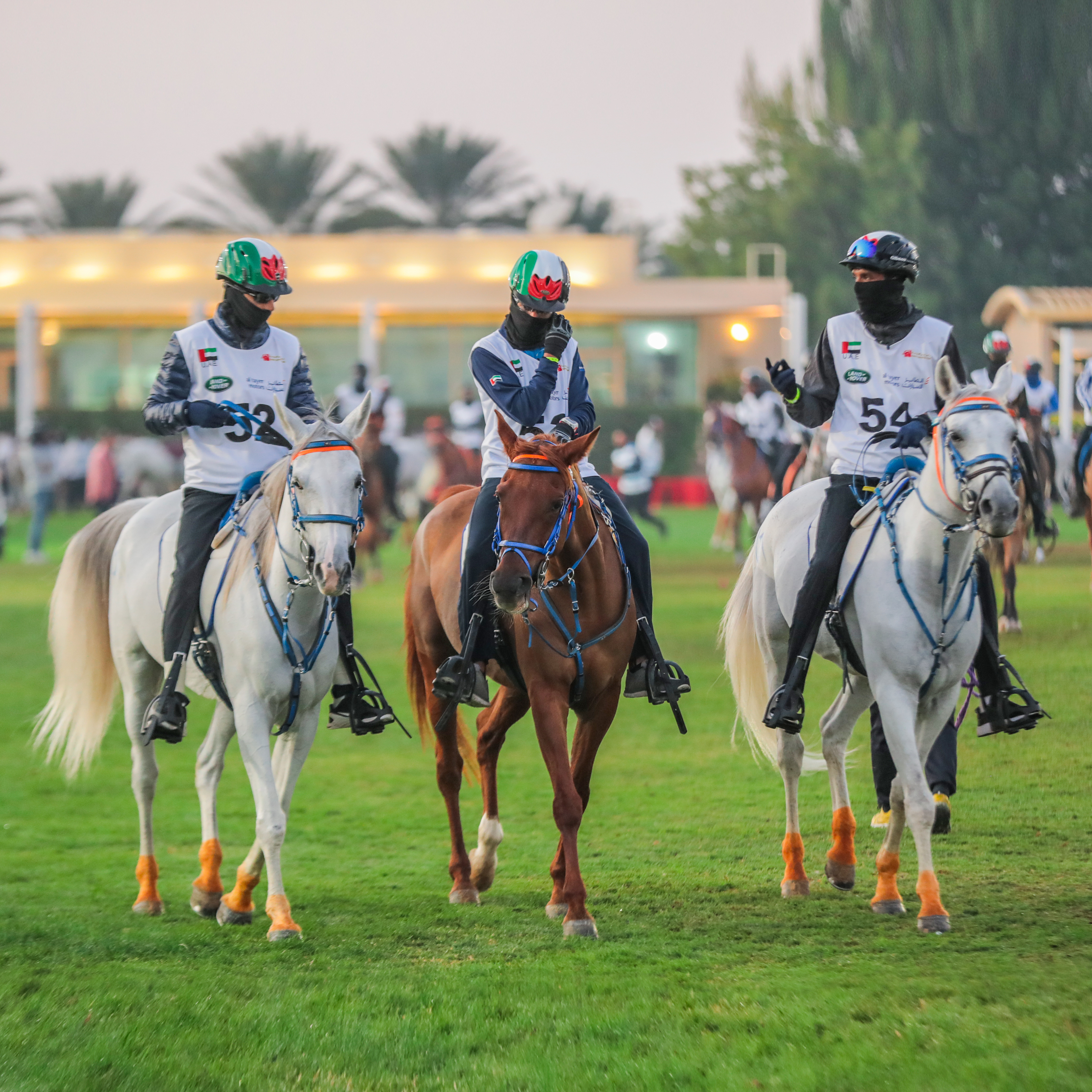 Gamilati Endurance Cup for Mares 2019