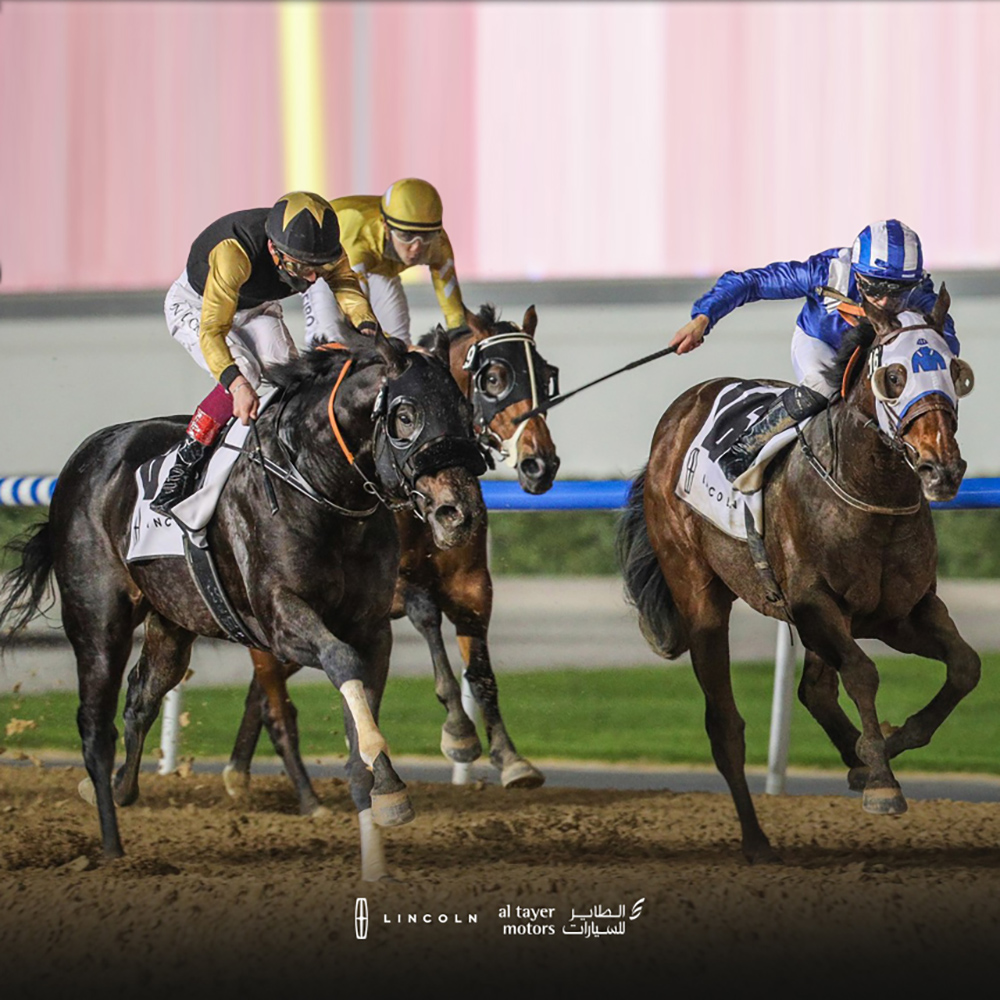 Lincoln Race Night at DWCC 2021