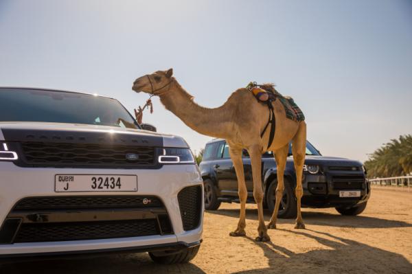 Al Marmoom Heritage Festival 2021 - 2022