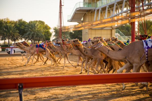Al Marmoom Heritage Festival 2021 - 2022