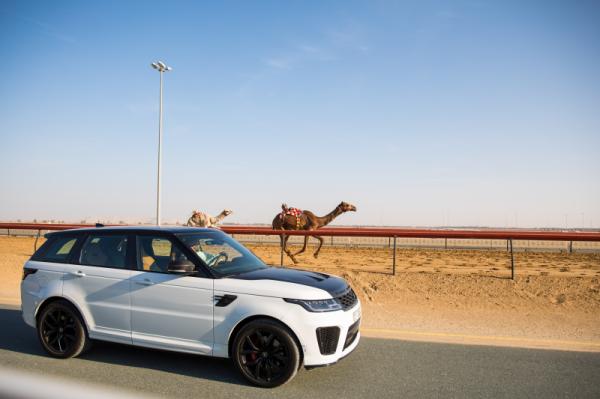 Al Marmoom Heritage Festival 2021 - 2022