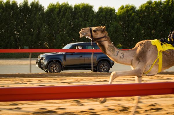 Al Marmoom Heritage Festival 2021 - 2022