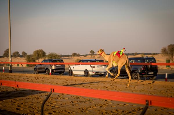 Al Marmoom Heritage Festival 2021 - 2022