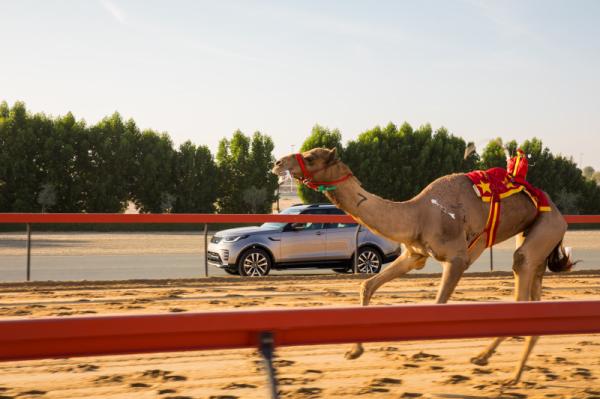 Al Marmoom Heritage Festival 2021 - 2022