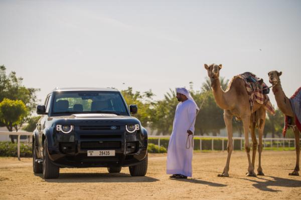 Al Marmoom Heritage Festival 2021 - 2022