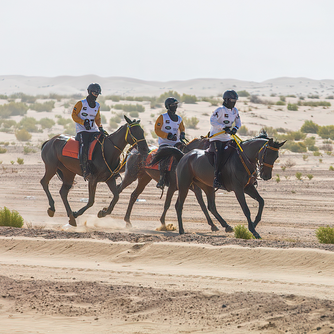 Land Rover | Gamilati Endurance Cup 2022