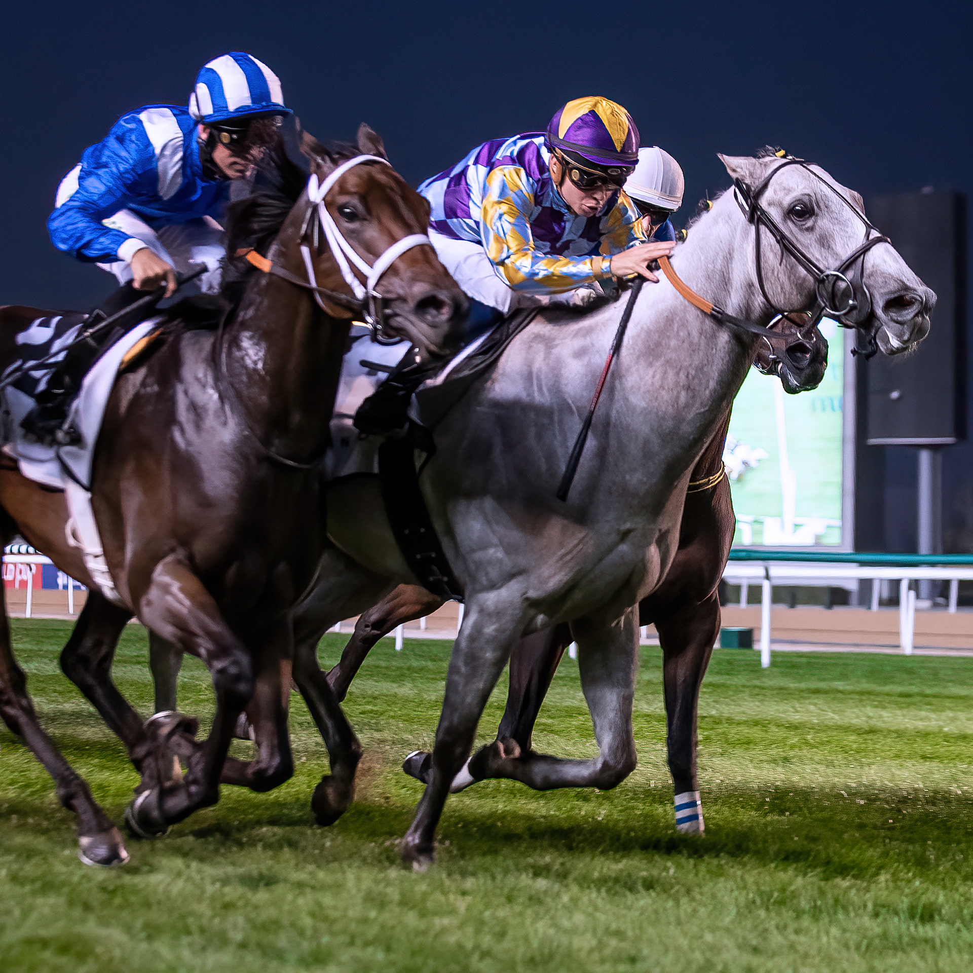 Lincoln Race Night 2022